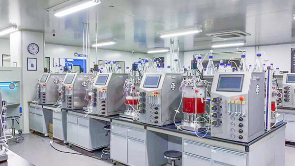 發(fā)酵行業(yè)如何選擇蠕動泵注意事項